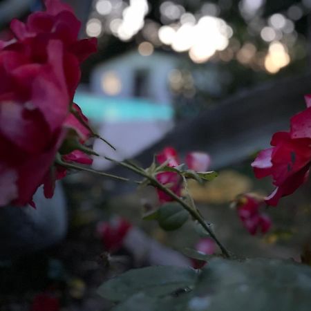 B&B Villa Lupidi 코리도니아 외부 사진