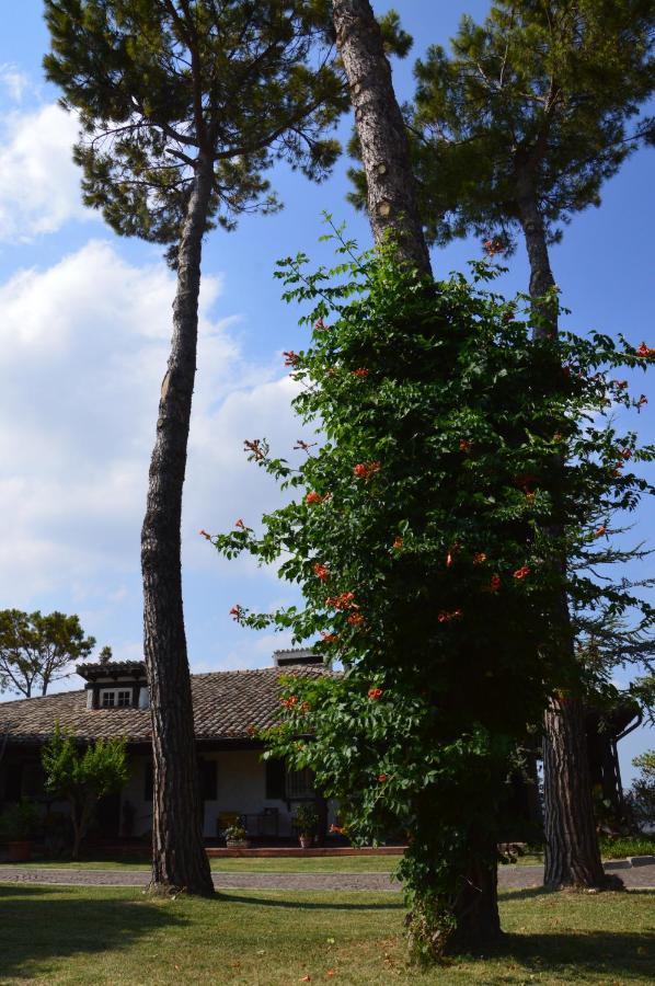 B&B Villa Lupidi 코리도니아 외부 사진