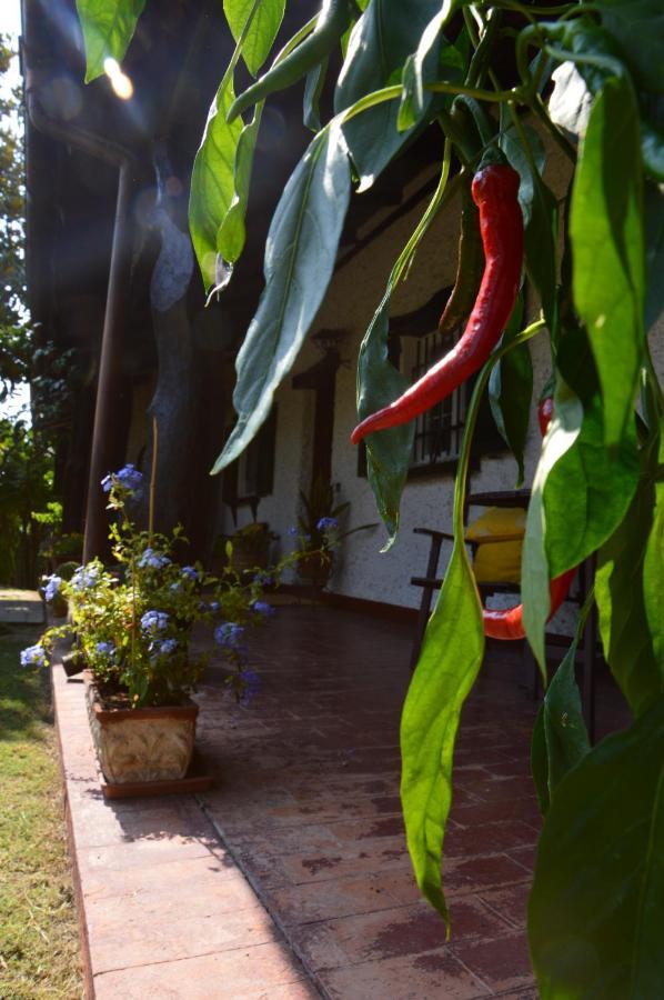 B&B Villa Lupidi 코리도니아 외부 사진