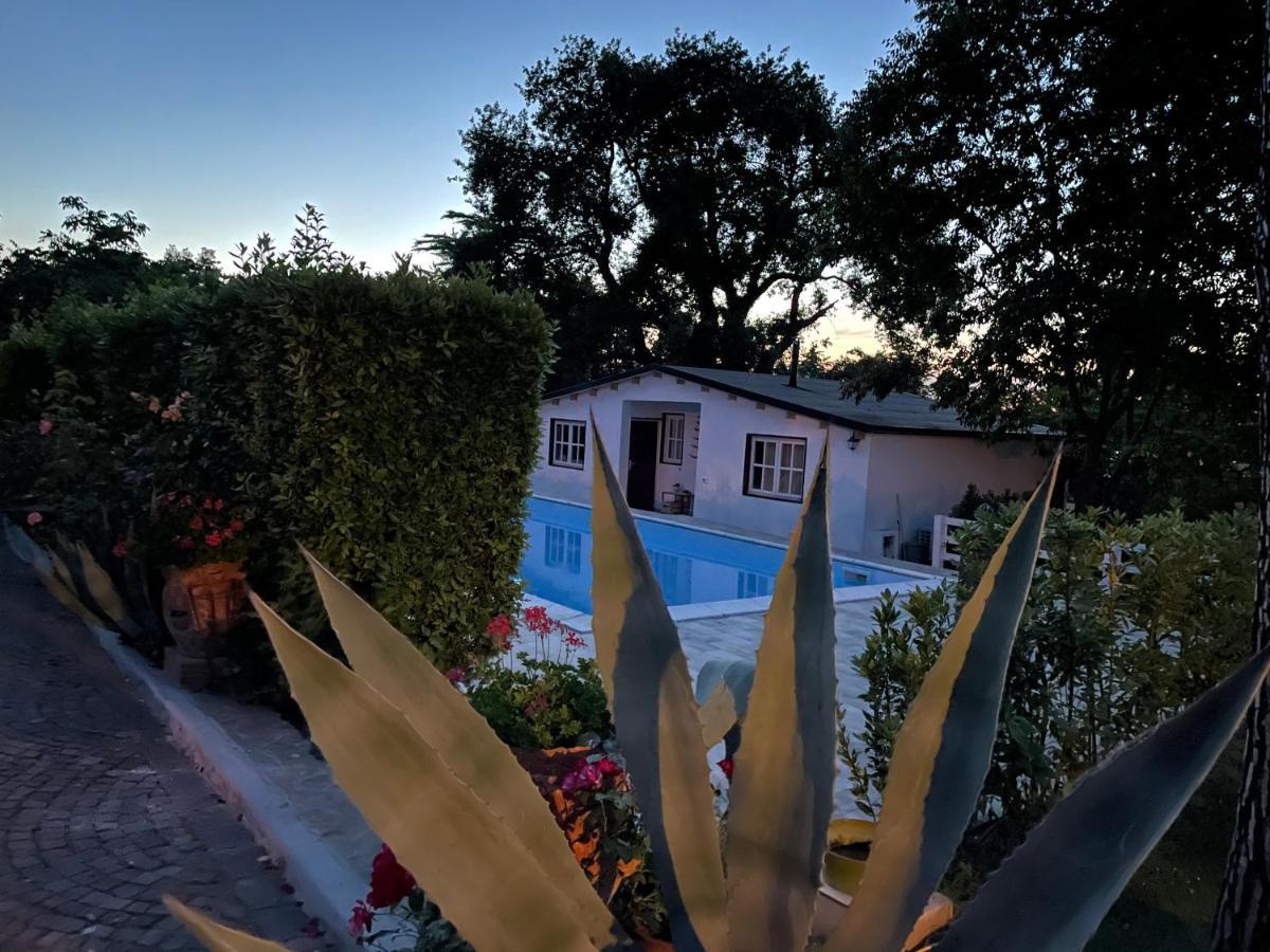 B&B Villa Lupidi 코리도니아 외부 사진