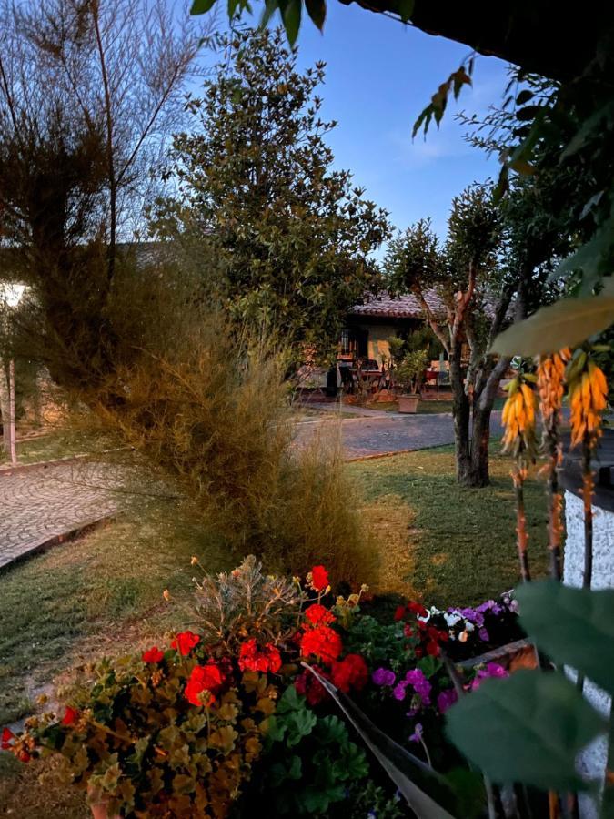 B&B Villa Lupidi 코리도니아 외부 사진