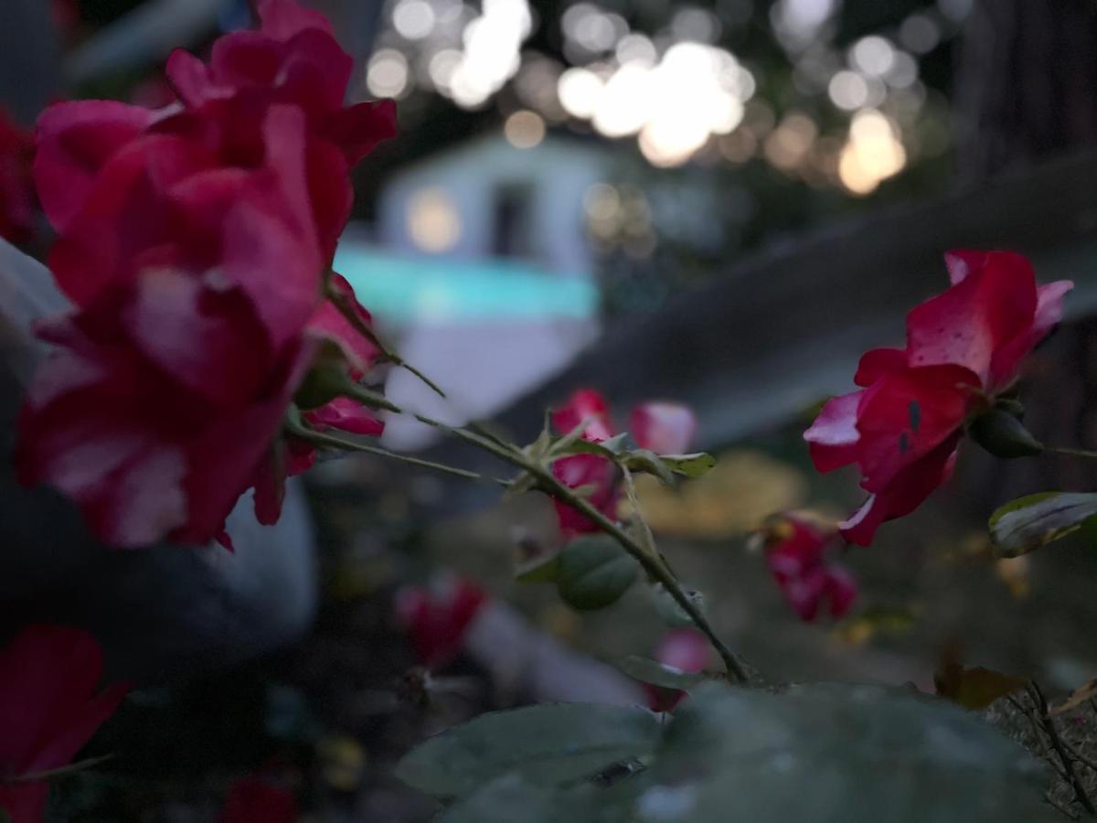 B&B Villa Lupidi 코리도니아 외부 사진